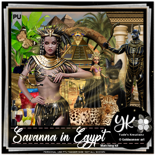 Savanna in Egipt - Click Image to Close